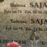 Helena Saja