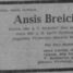 Ansis Breicis