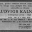 Ludvigs Kalniņš