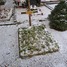 Alīde Klūga