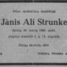 Jānis Alis Strunke