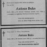 Antons Buks