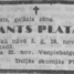 Imants Platais