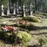 Liiva Cemetery