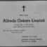 Alfrēds Oskars Liepiņš