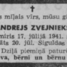 Andrejs Zvejnieks