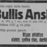 Ansis Bullis