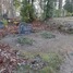 Otīlija Krastiņa