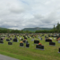 Corner Brook, Mount Patricia Cemetery