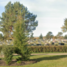 Innisfail, Innisfail Cemetery