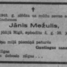Jānis Mežulis