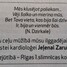Jeļena Zarubina