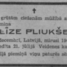 Līze Pliukše