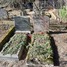 Mārtiņš Aleksandrs Vinters