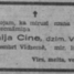 Nanija Cine