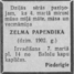 Zelma Papendika