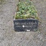 Aleksandrs Krimša