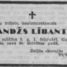 Andžs Lībants