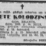 Lizete Kolodzinskis
