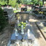 Lucyna Winturska