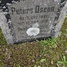 Peters Dsenn