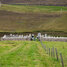 Yell (West Sandwick) Cemetery