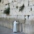 Paavst Franciscus