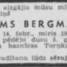 Ādams Bergmanis