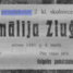 Amālija Zluģe