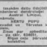 Herta Pupa