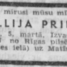 Millija Priede
