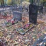 Harijs Kravcovs