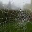 The military operation codenamed "Web"