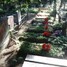Aleksandrs Aliks