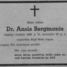 Ansis Bergmanis