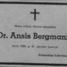 Ansis Bergmanis