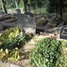 Ādolfs Zaščerinskis