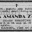 Enīna Amanda Zālīte