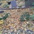 Igors Stolbovs