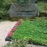 Osvalds Zonne