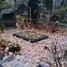 Rūdolfs Princis
