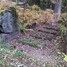 Staņislavs Trasuns