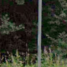 Tilžas pagasts, Kāpessila kapi