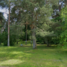 Doles kapi, Doles sala, Salaspils pagasts