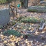 Karlīne Rublis