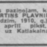 Mārtiņš Pļavnieks