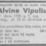 Alvīne Vipulis