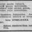 Ints Strēlnieks