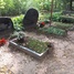 Augusts Cimdiņš