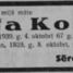Darija Kostina
